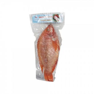 ปลาทับทิม ใหญ่700G~UP